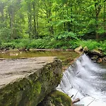 Pelikan * Loučná nad Desnou
