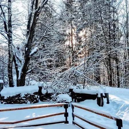 Pelikan Loucna nad Desnou