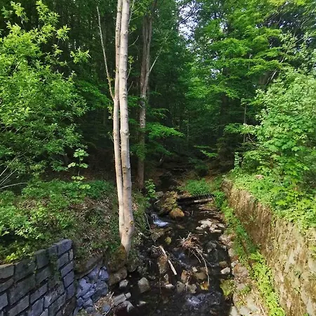 Pelikán *