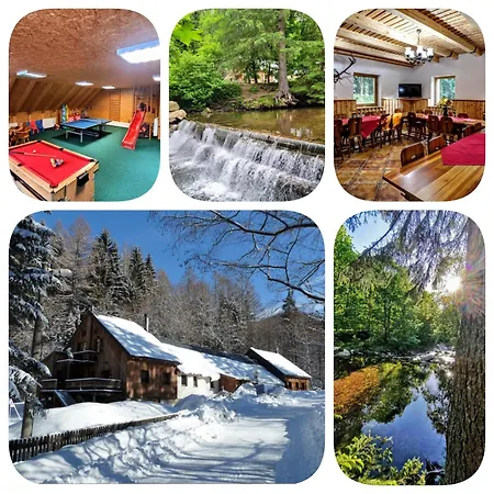 Pelikan Loucna nad Desnou