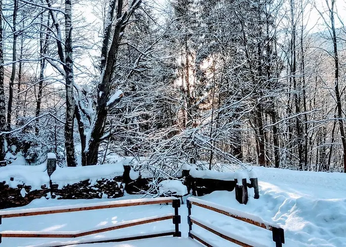 Pelikán Loučná nad Desnou