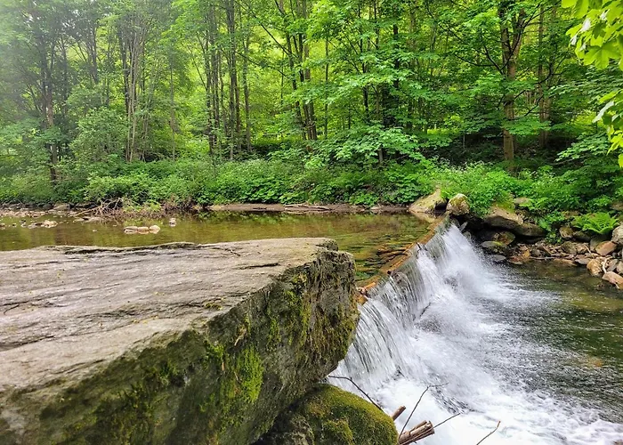 Pelikan * Loučná nad Desnou